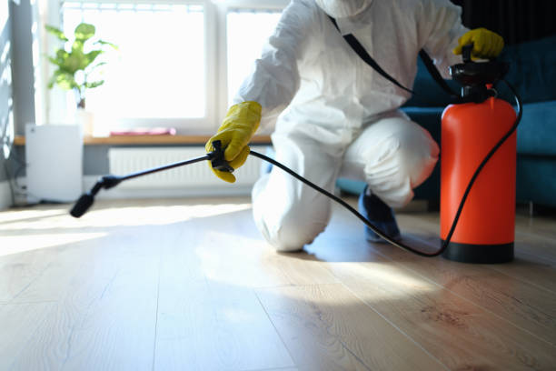 Reliable Odor Removal contractor in Plain City, OH by Trauma Clean Pros